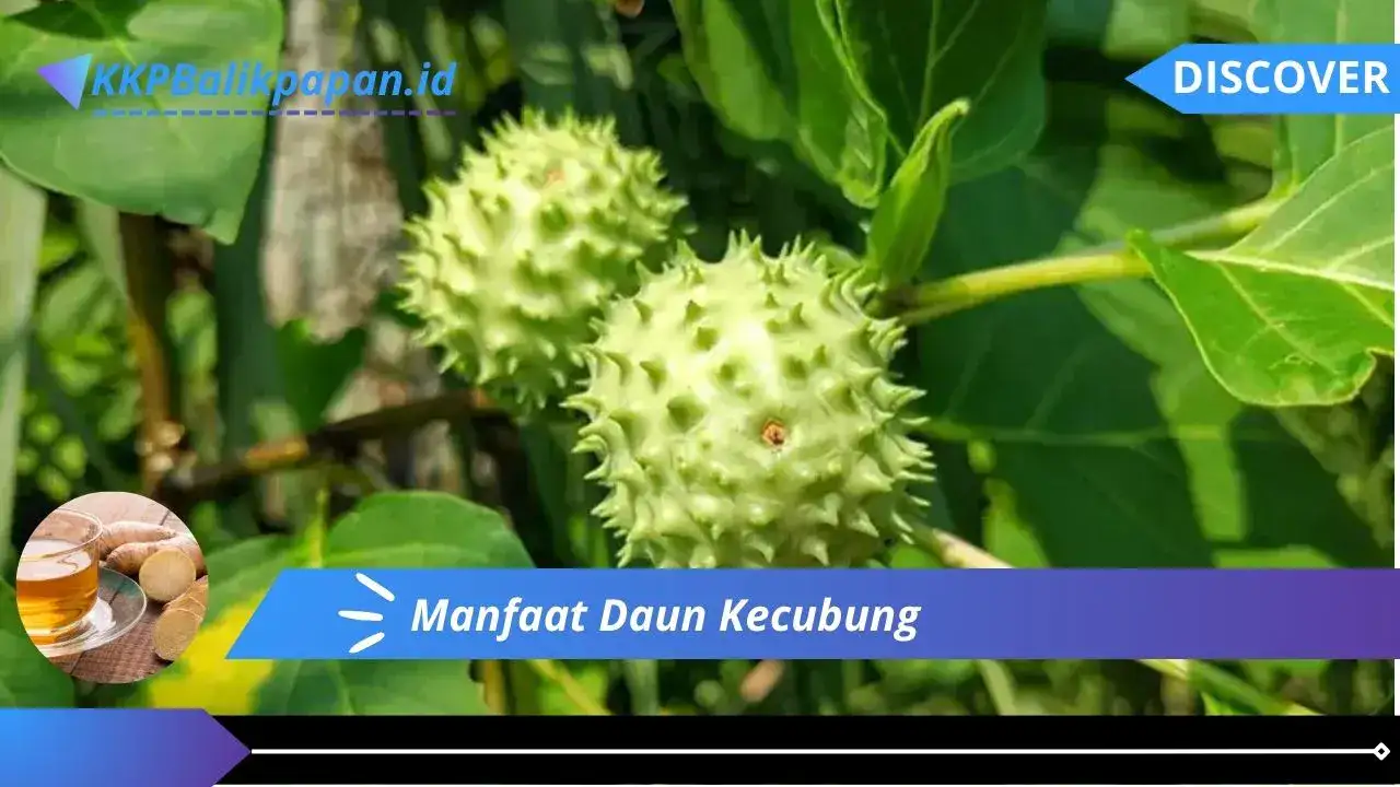 Manfaat Daun Kecubung