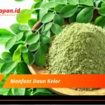 Manfaat Daun Kelor