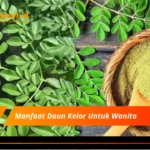 Manfaat Daun Kelor Untuk Wanita