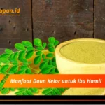 Manfaat Daun Kelor untuk Ibu Hamil