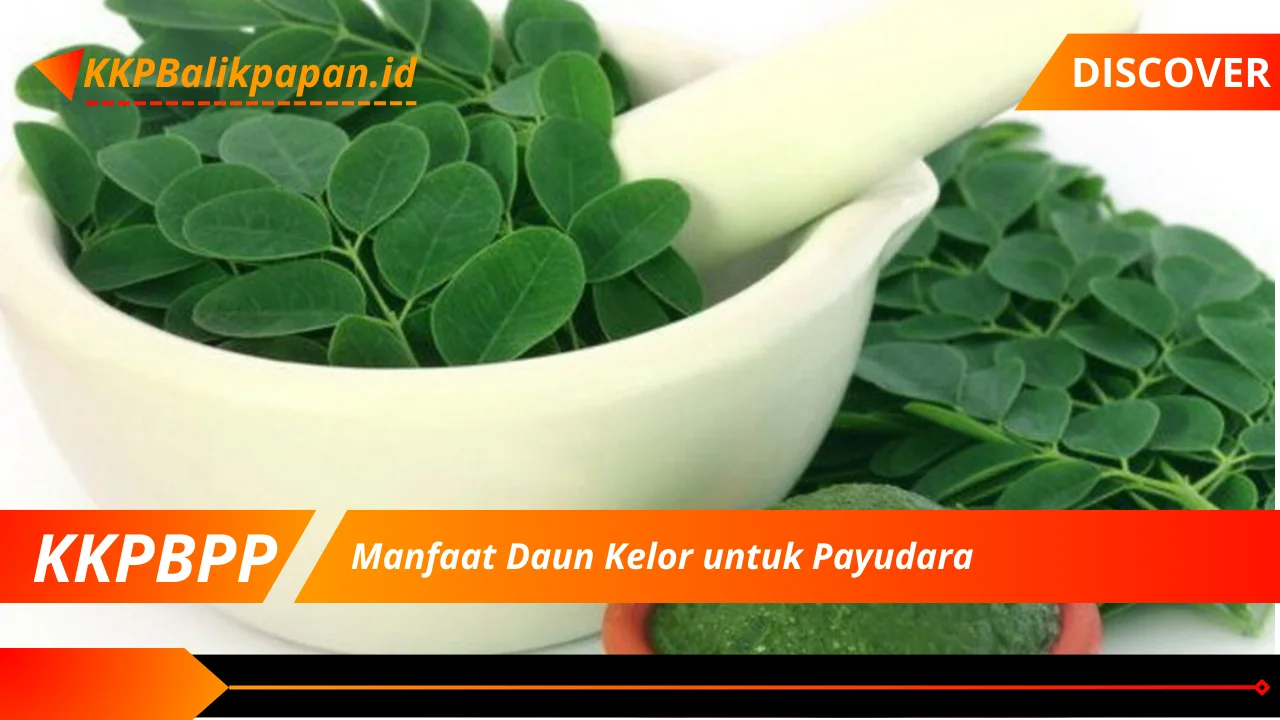 Manfaat Daun Kelor untuk Payudara