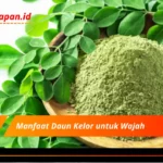 Manfaat Daun Kelor untuk Wajah