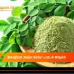 Manfaat Daun Kelor untuk Wajah (2)