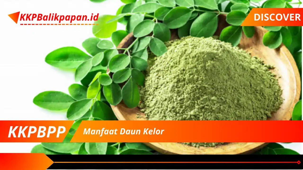 Manfaat Daun Kelor