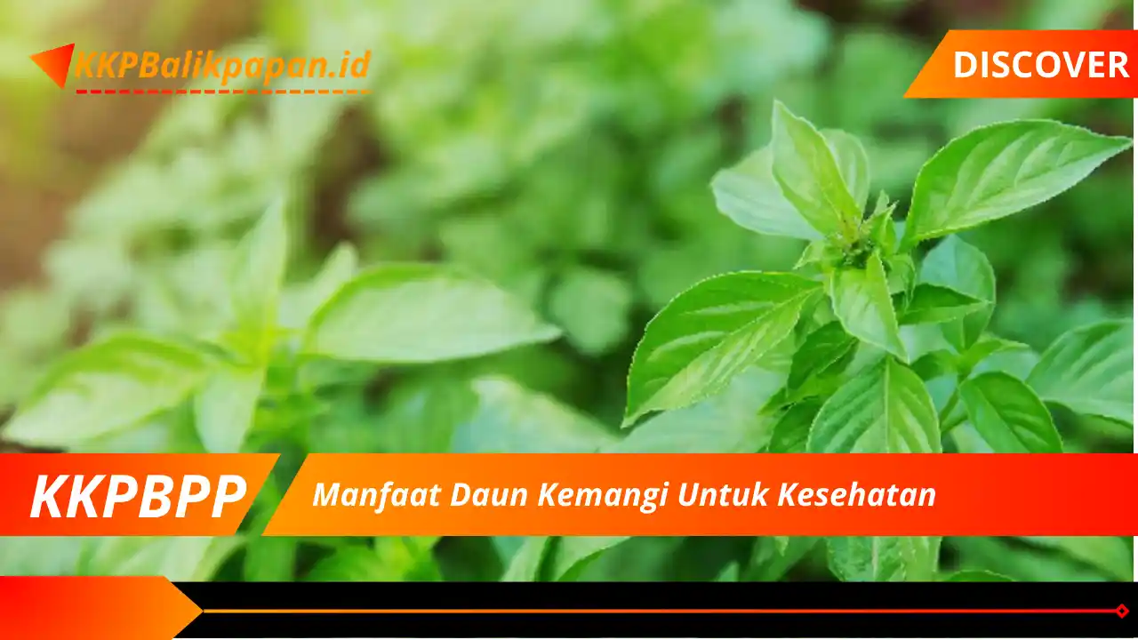 Manfaat Daun Kemangi Untuk Kesehatan