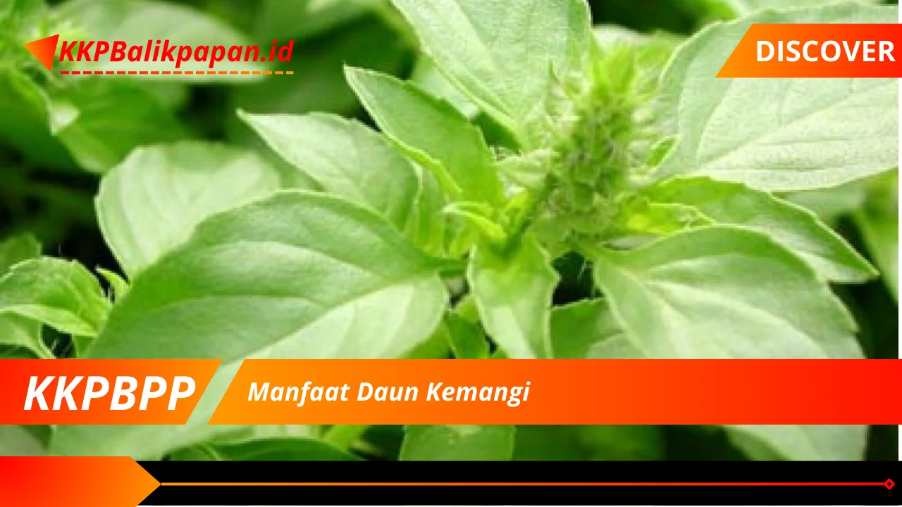 Manfaat Daun Kemangi