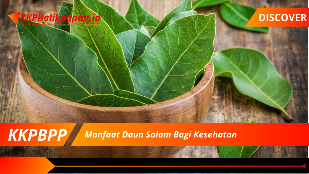 Manfaat Daun Salam Bagi Kesehatan