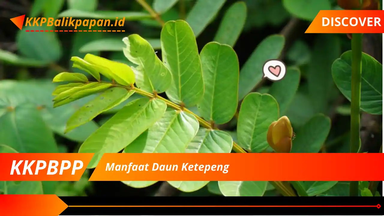 Manfaat Daun Ketepeng