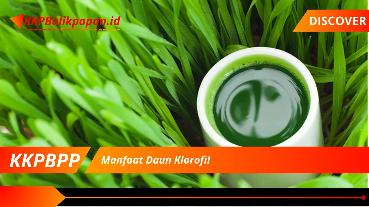 Manfaat Daun Klorofil