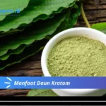 Manfaat Daun Kratom