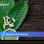 Manfaat Daun Kratom