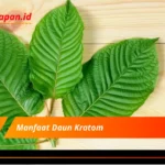 Manfaat Daun Kratom