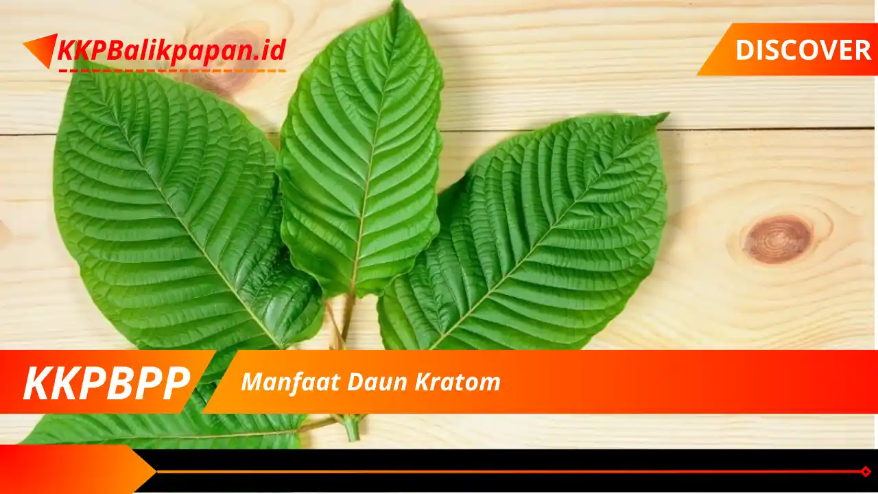 Manfaat Daun Kratom