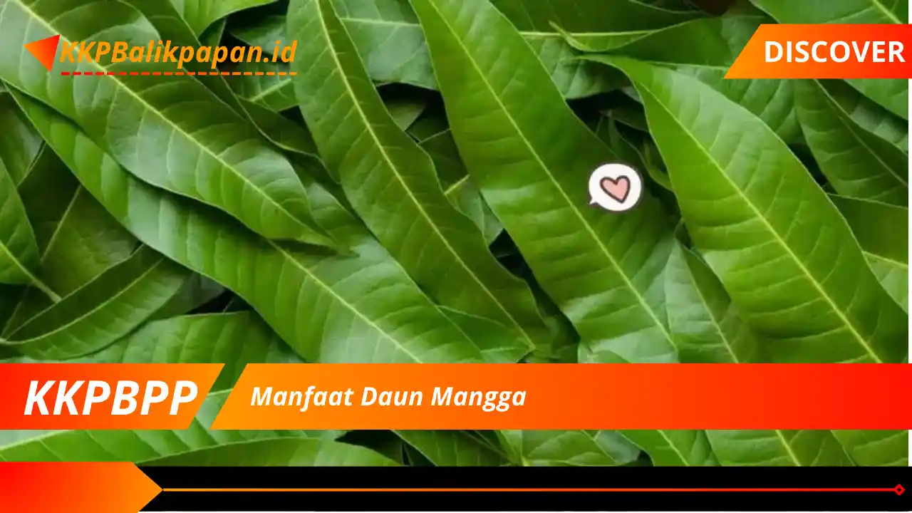 Manfaat Daun Mangga