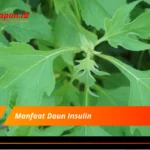 Manfaat Daun Insulin