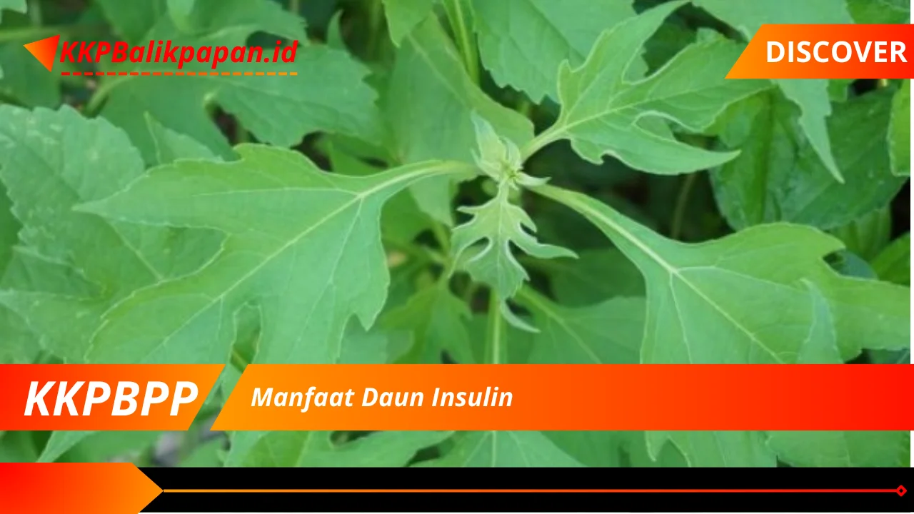 Manfaat Daun Insulin