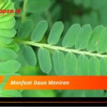 Manfaat Daun Meniran