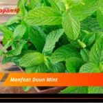 Manfaat Daun Mint