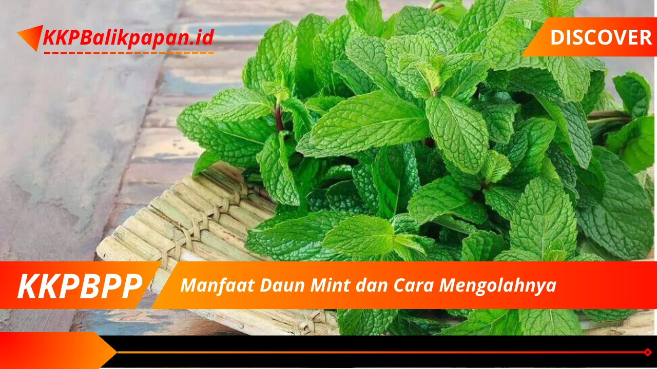 Manfaat Daun Mint dan Cara Mengolahnya