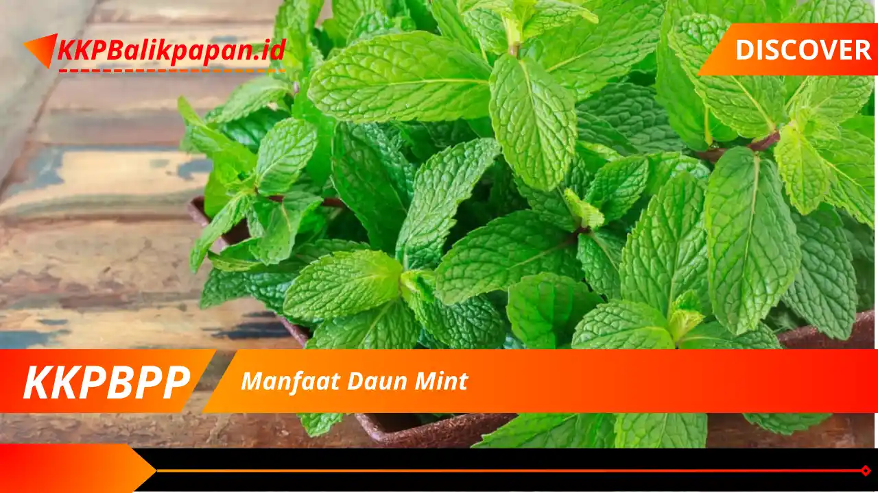 Manfaat Daun Mint