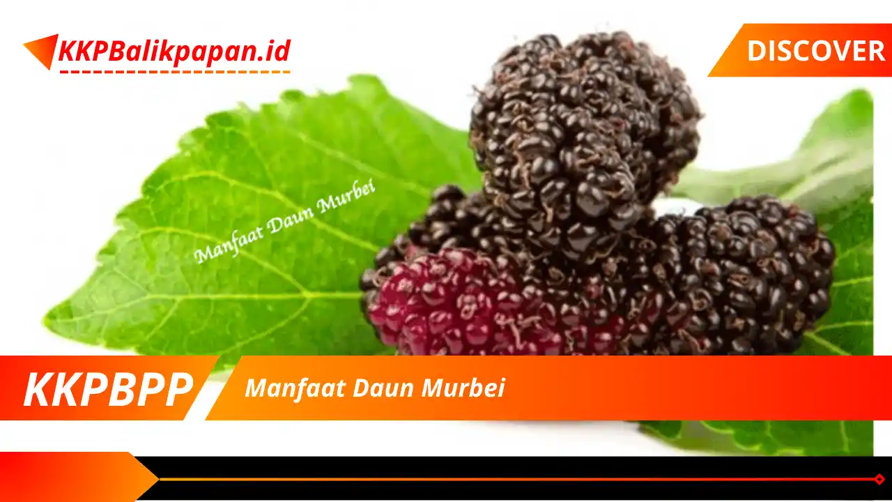 Manfaat Daun Murbei