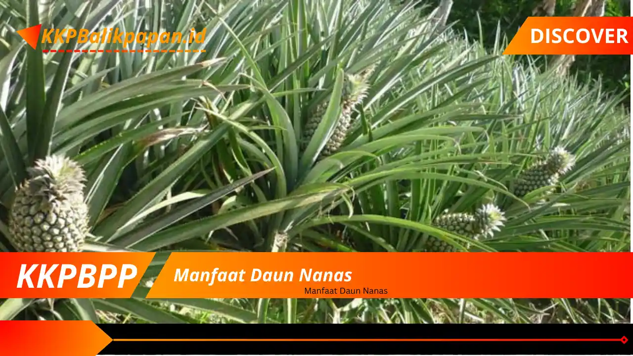 Manfaat Daun Nanas