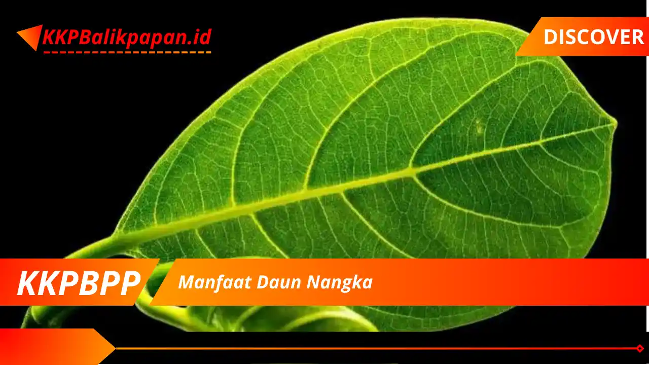 Manfaat Daun Nangka