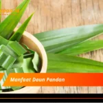 Manfaat Daun Pandan