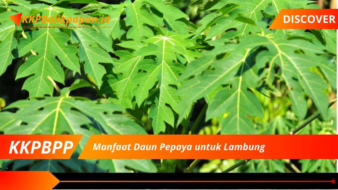 Manfaat Daun Pepaya untuk Lambung (2)