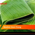 Manfaat Daun Pisang