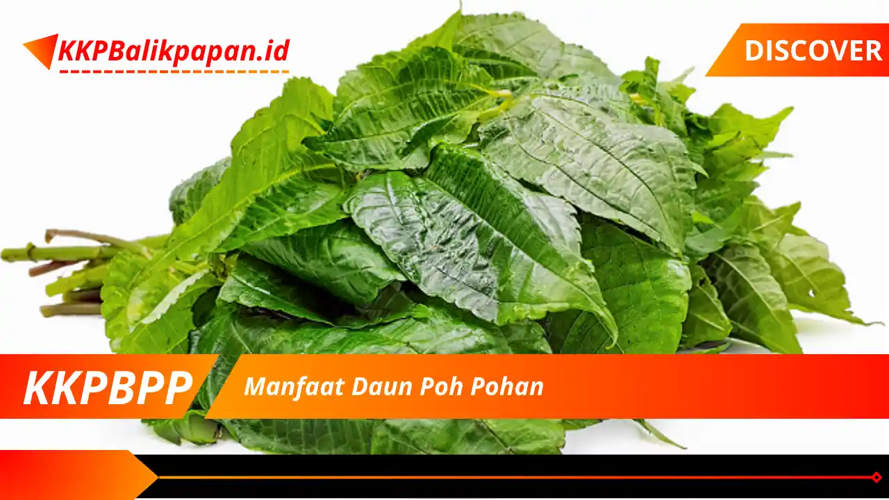 Manfaat Daun Poh Pohan