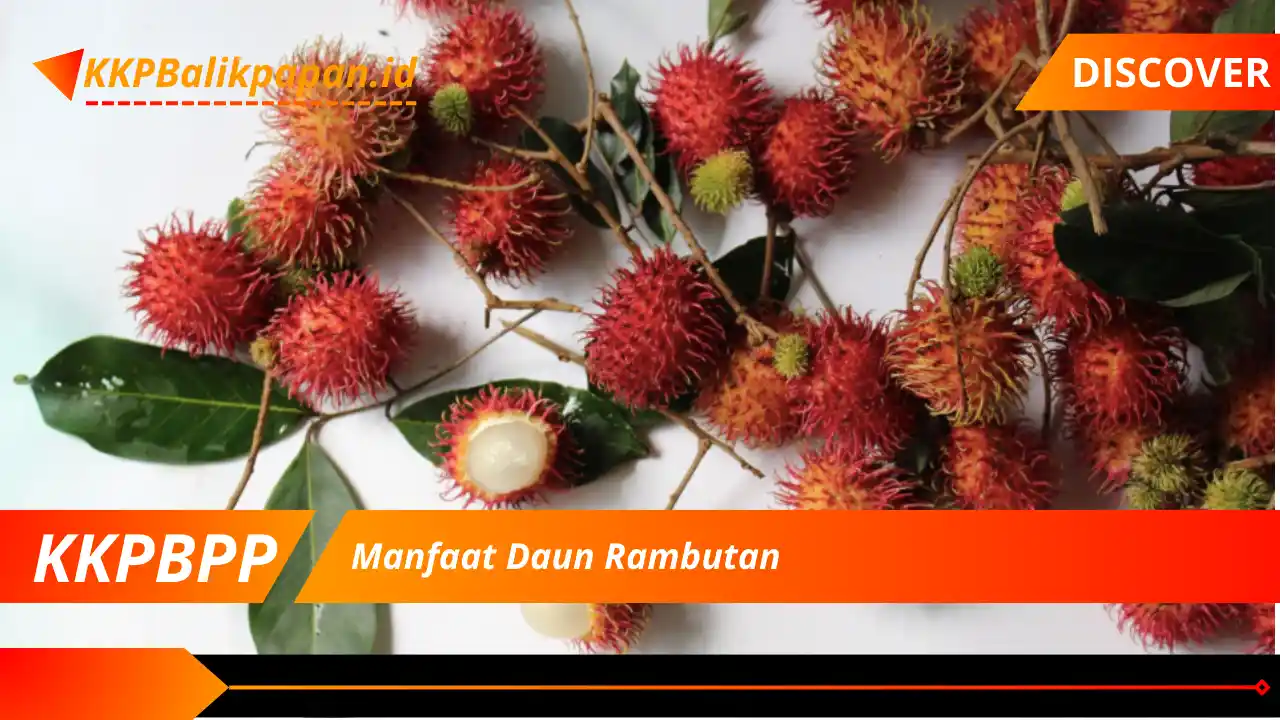 Manfaat Daun Rambutan