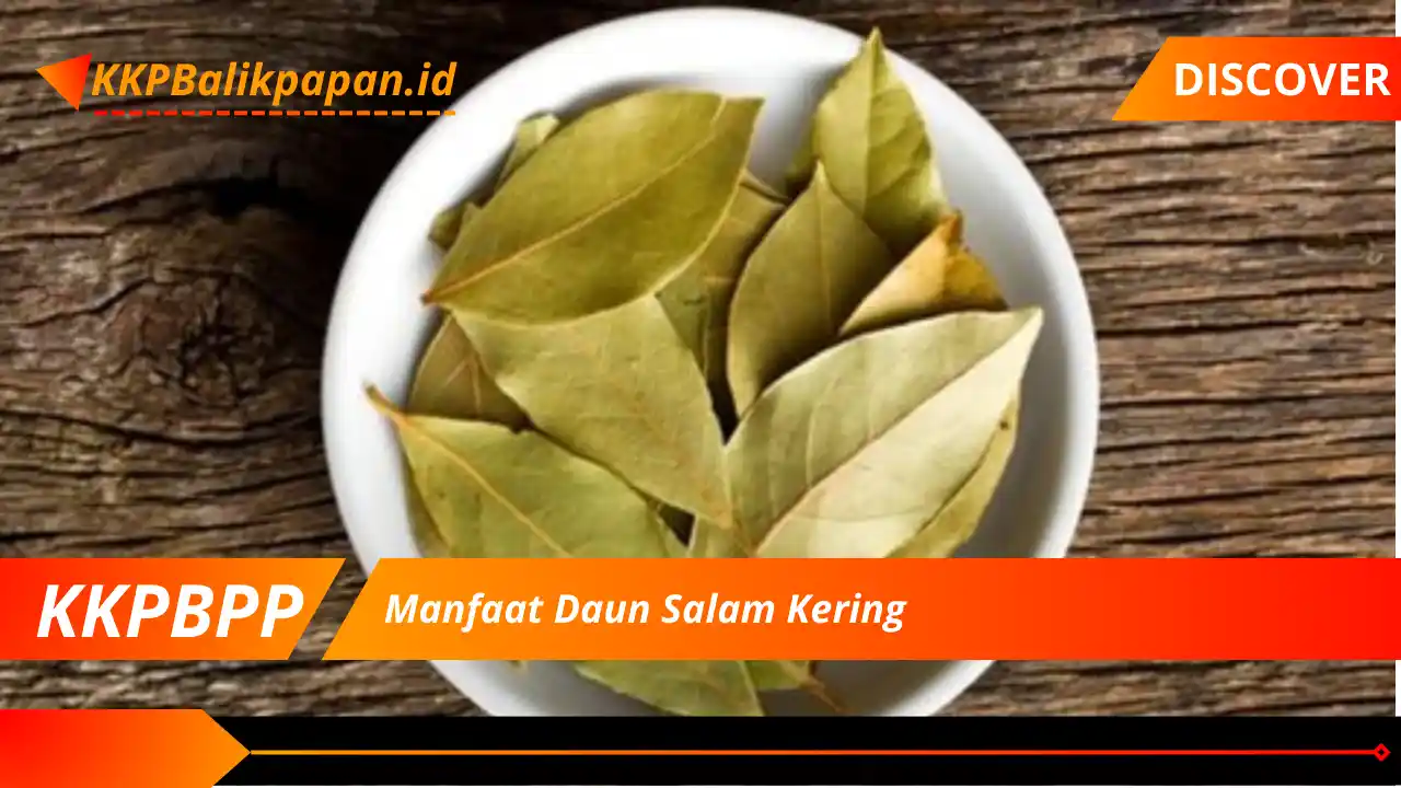 Manfaat Daun Salam Kering