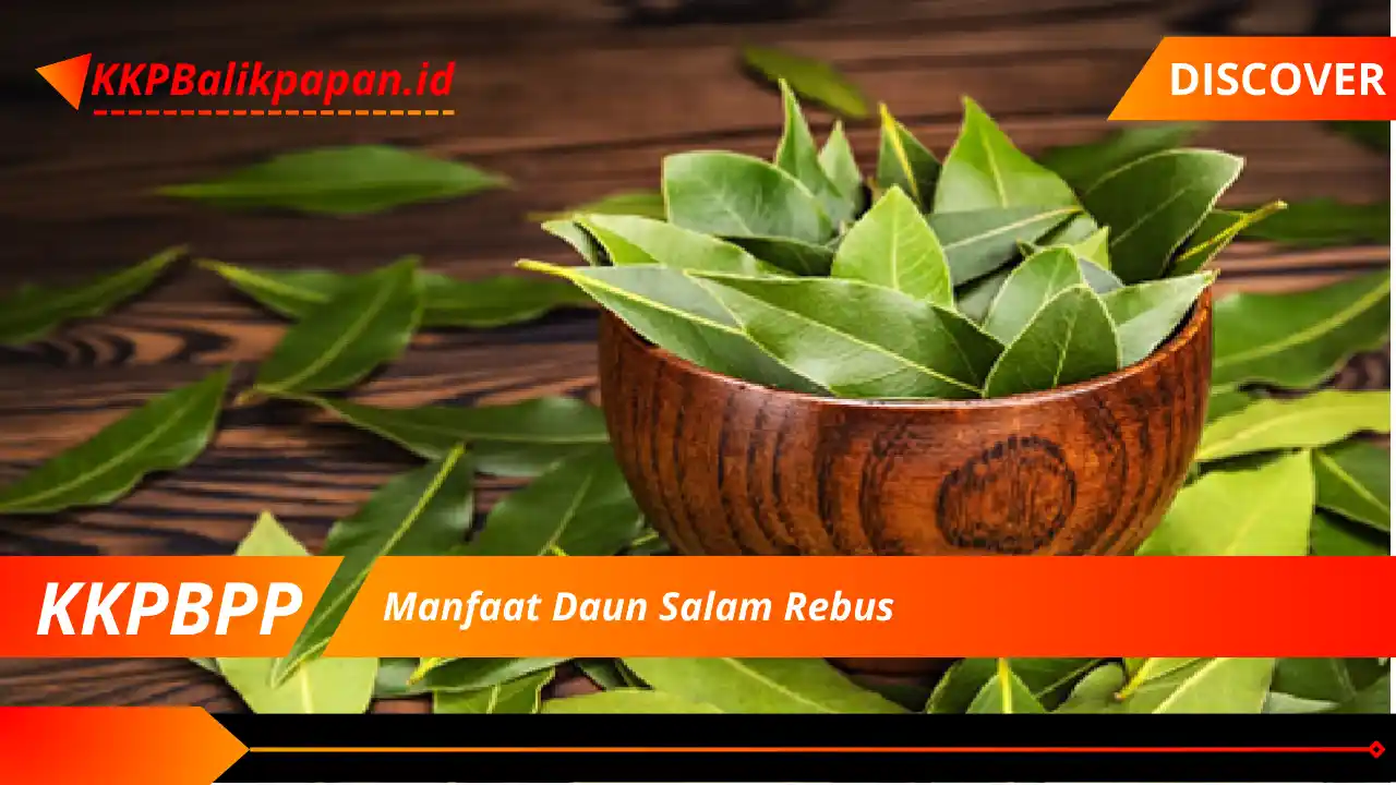 Manfaat Daun Salam Rebus