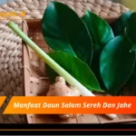 Manfaat Daun Salam Sereh Dan Jahe