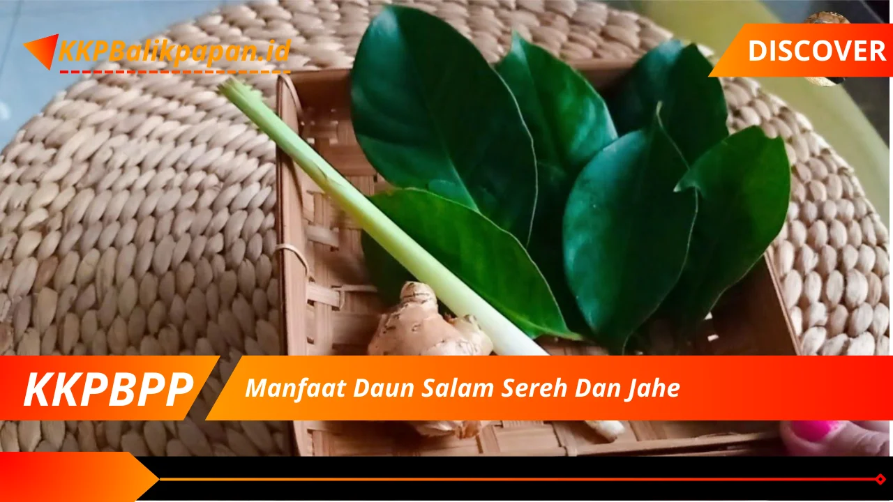 Manfaat Daun Salam Sereh Dan Jahe