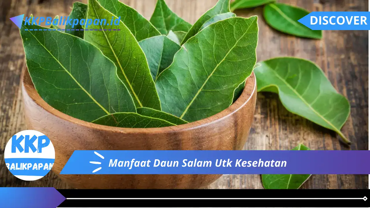 Manfaat Daun Salam Utk Kesehatan