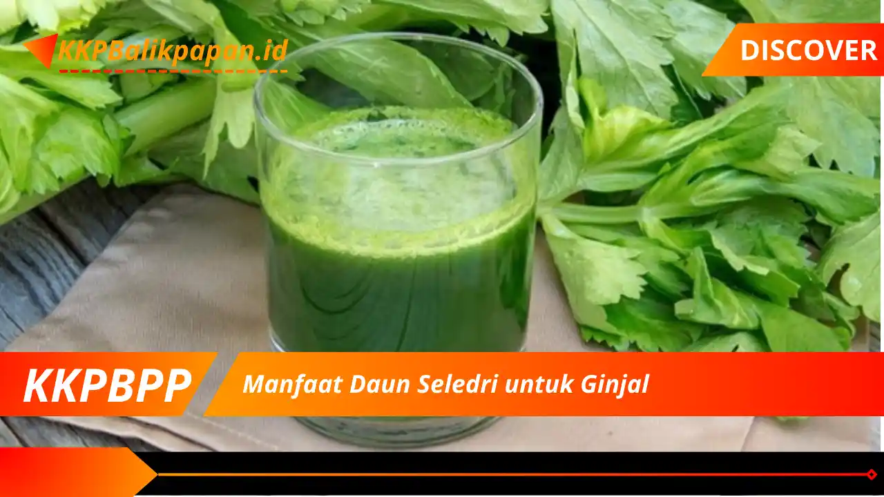 Manfaat Daun Seledri untuk Ginjal