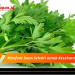 Manfaat Daun Seledri untuk Kesehatan