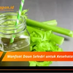 Manfaat Daun Seledri untuk Kesehatan