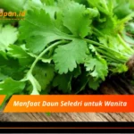 Manfaat Daun Seledri untuk Wanita