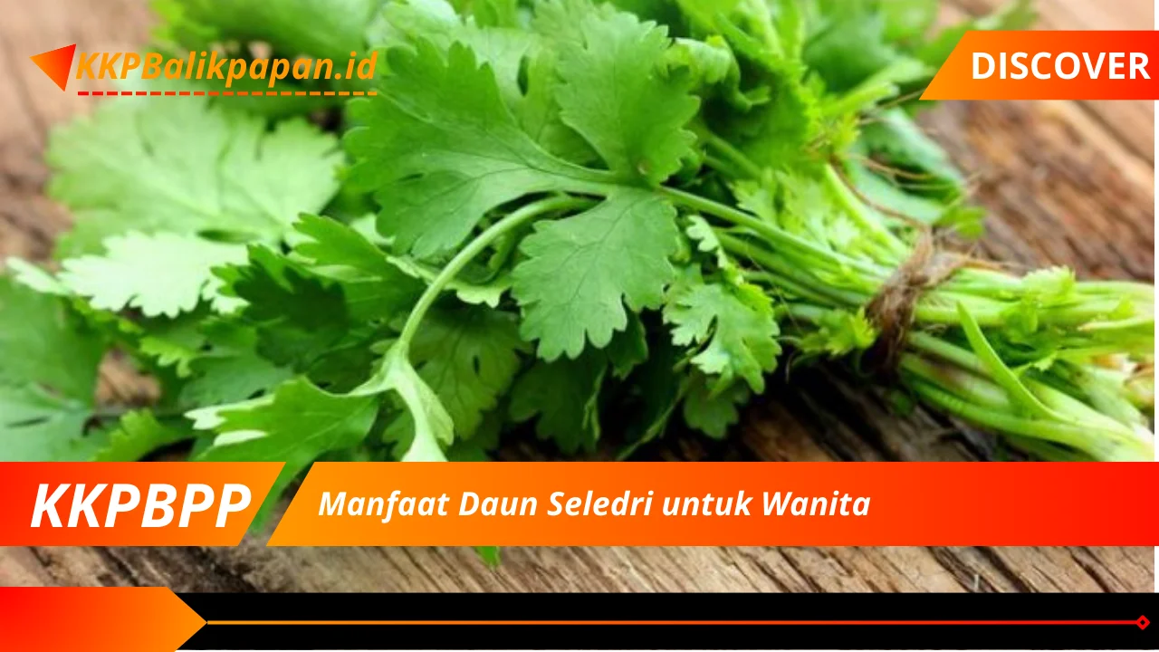 Manfaat Daun Seledri untuk Wanita