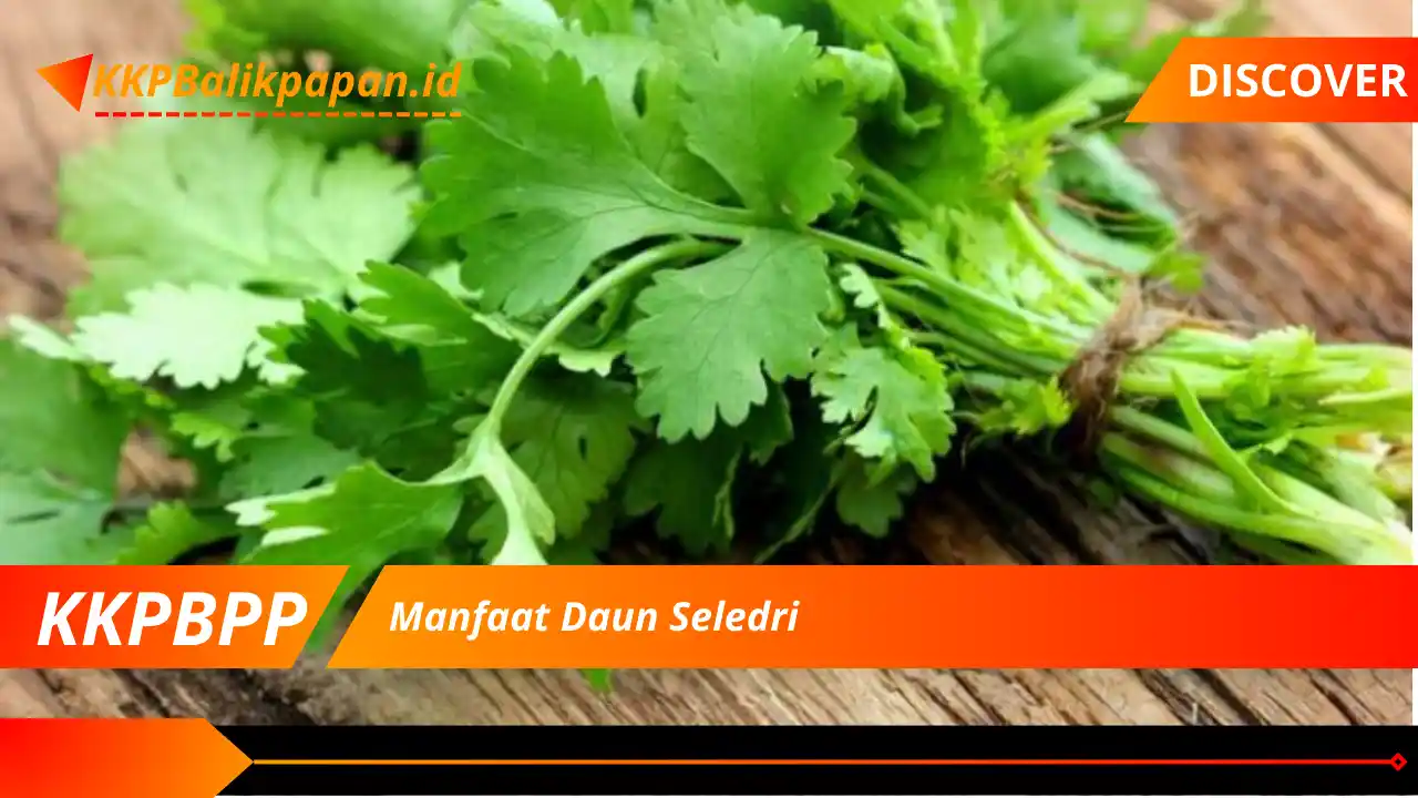 Manfaat Daun Seledri