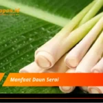 Manfaat Daun Serai