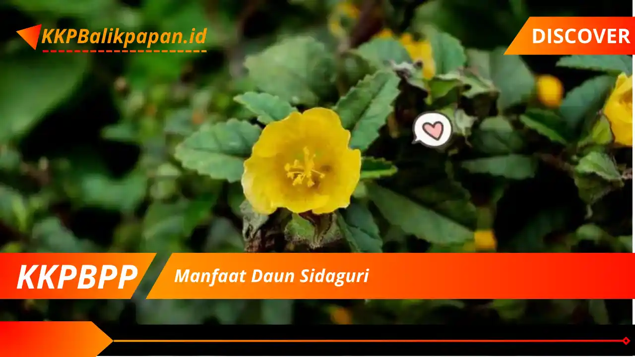 Manfaat Daun Sidaguri