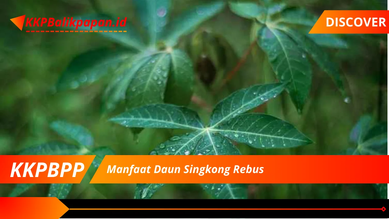 Manfaat Daun Singkong Rebus