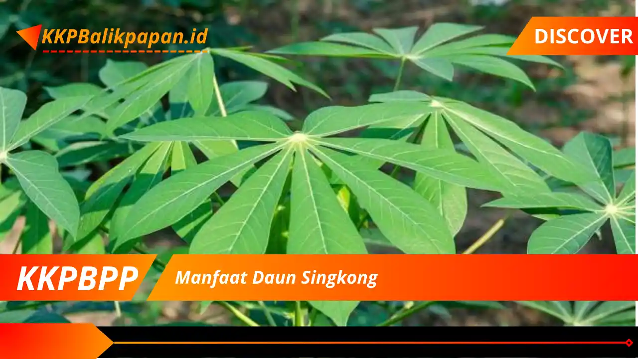 Manfaat Daun Singkong