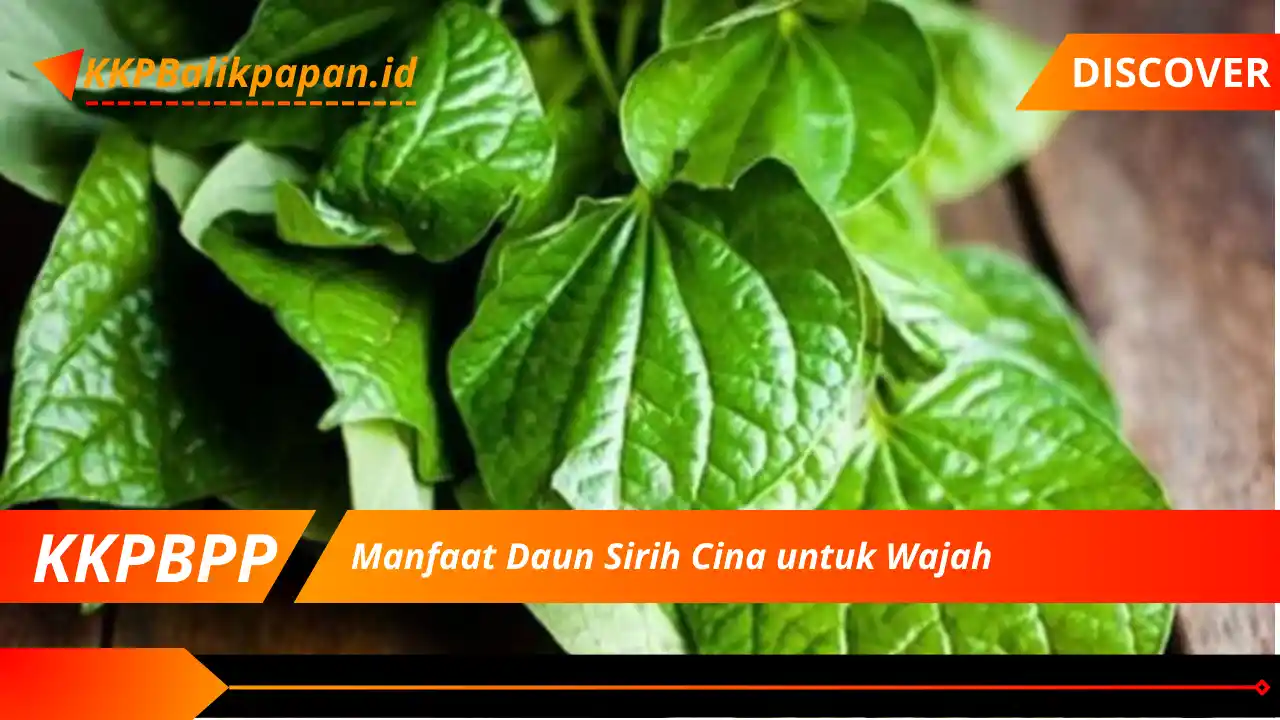 Manfaat Daun Sirih Cina untuk Wajah