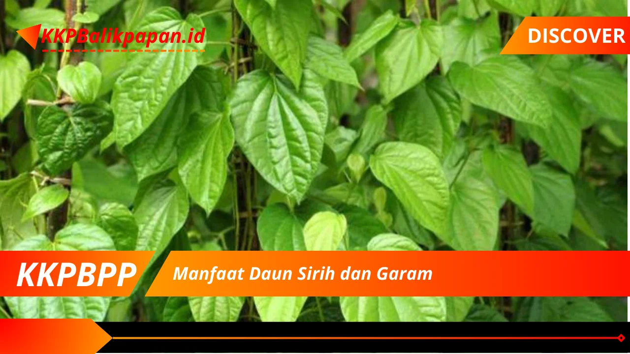 Manfaat Daun Sirih dan Garam