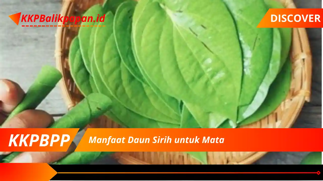 Manfaat Daun Sirih untuk Mata